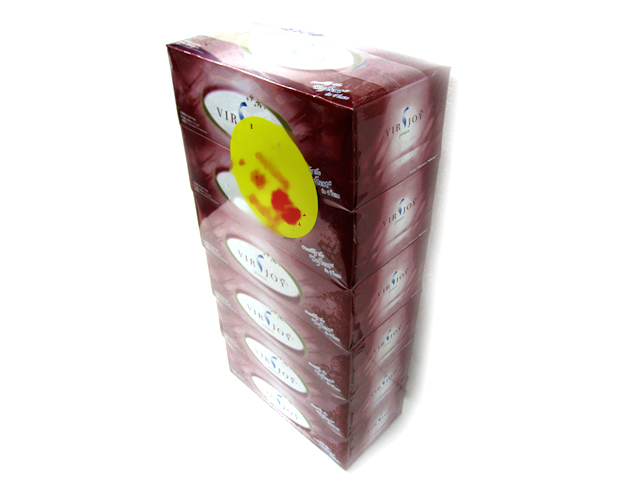 盒裝紙巾--VirJoy facial tissuel (6 boxes)